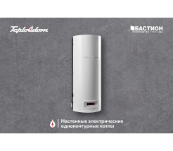 Ремонт котлов Teplodom